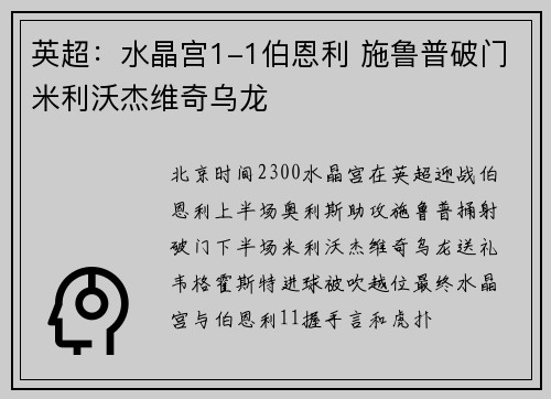 英超：水晶宫1-1伯恩利 施鲁普破门米利沃杰维奇乌龙