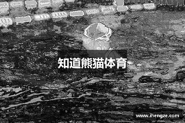 知道熊猫体育